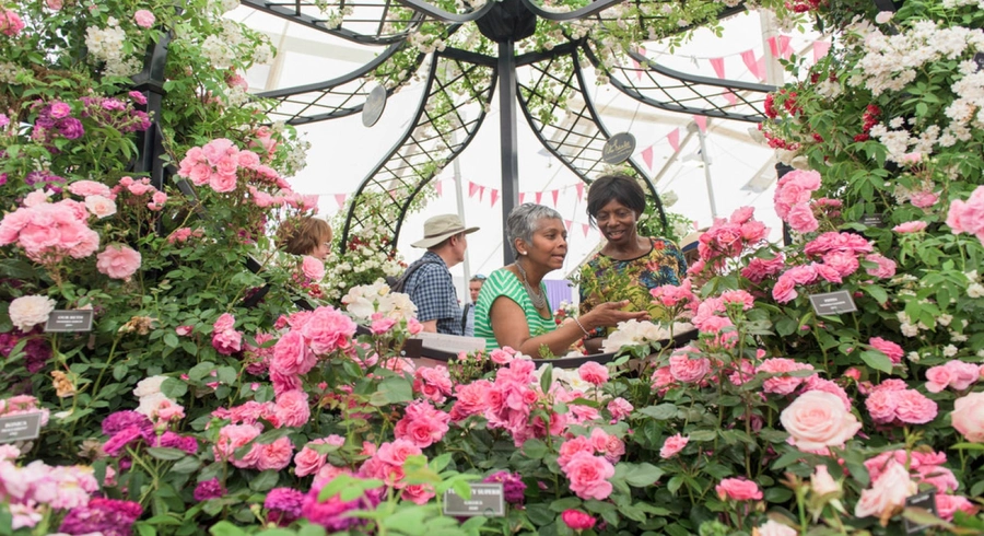 Hampton Court Palace Flower Show