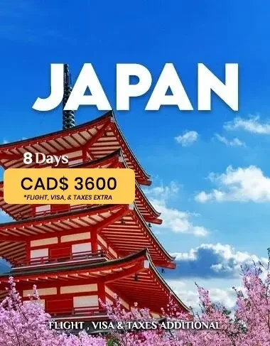 Japan Korea 8 Days Tour Package – Seoul Tower and Cherry Blossoms